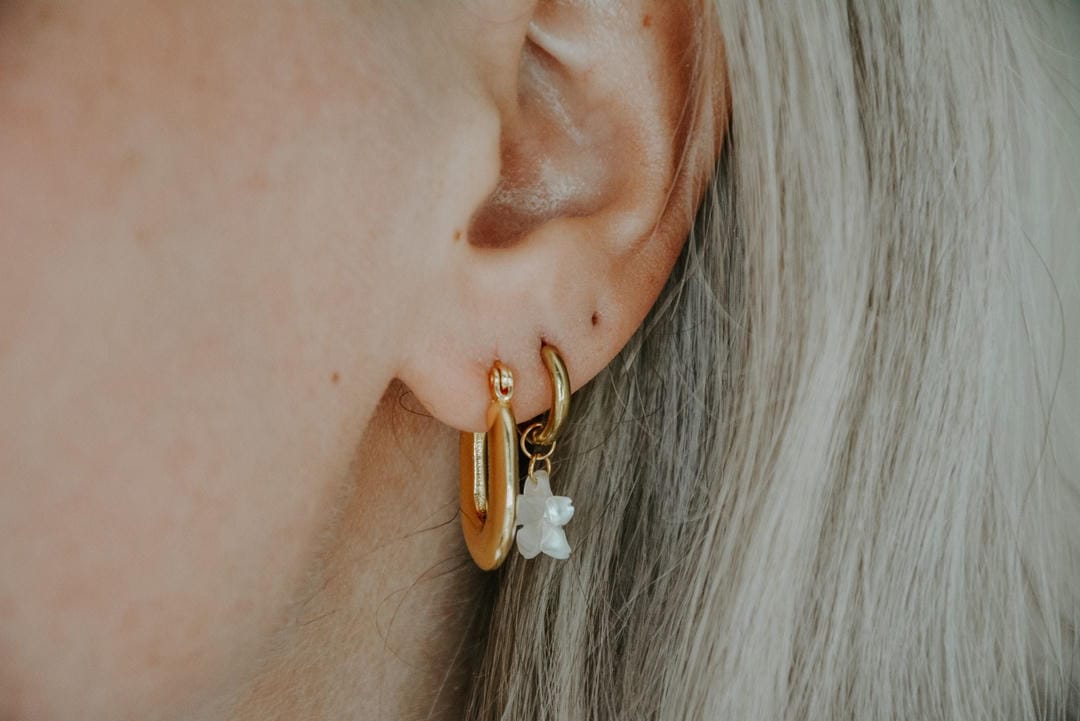Blumenmuschel Weiss Klassische Ohrringe